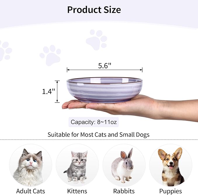 Selamica Ceramic Cat Bowls Set of 4, Cat Food Bowl Whisker Friendly, 5.6 Inch Shallow Wide Kitten Plates for Food and Water, Dishwasher Safe, Gradient Colors