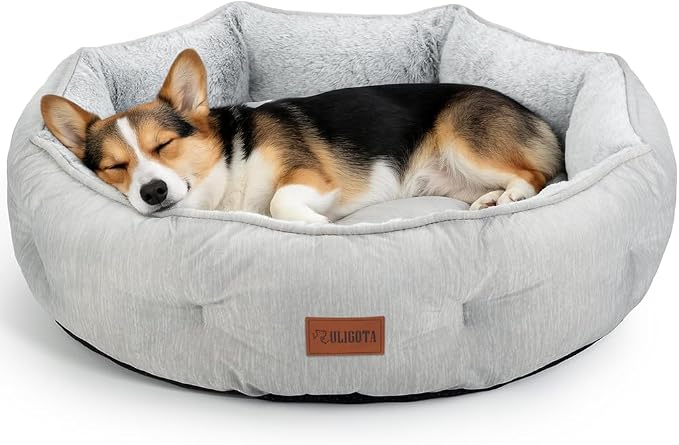 Small Dog Bed for Small Dogs, Cat Bed for Indoor Cats, Cooling Pet Bed for Puppy, Reversible Design with Cool-Touch Summer Side, Machine Washable with Non-Slip Bottom 25 Inch