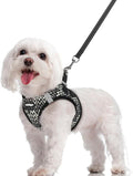 rabbitgoo Dog Harness Small Sized and Leash Set, Step-in Puppy Pet Vest | Light, Soft, Breathable Air Mesh, Easy on and Remove with Hook & Loop, Secure Reflective for Walking, Black Zigzag M