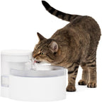 PetSafe Outlast Pumpless Cat Water Fountain, 60 oz/1.7L, Dishwasher Safe | Pumpless HydroSpin Design Circulates 60 Oz Water, Ion-x Carbon/Ion-Exchange Filter, Smart Sensors Slow Flow at Night
