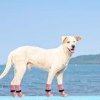 SCENEREAL Anti Slip Dog Socks to Prevent Licking Paws for Hardwood Floors | Double Sides Dog Shoes Boots & Paw Protectors for Hot/Cold Pavement, Dog Grippy Booties for Small Medium Large Senior Dogs