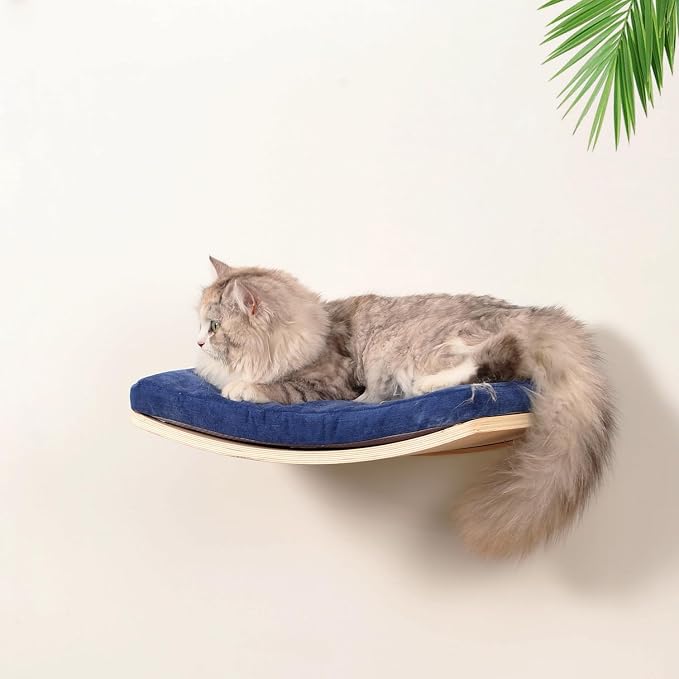 Curved Cat Shelves and Perches, Floating Cat Wall Bed with Comfortable Cushion