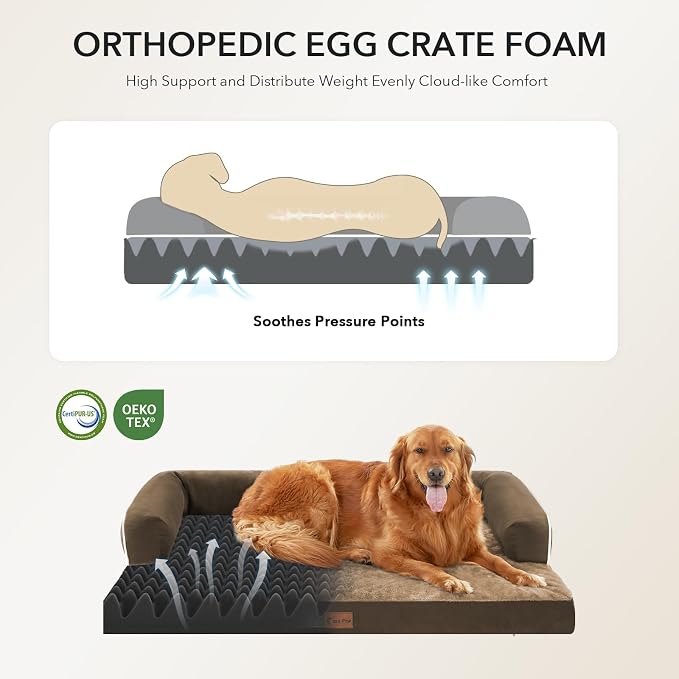 Orthopedic Washable Dog Bed for Medium Dogs, 35x22in, Brown | Orthopedic Foam Relieves Joint Pressure, Bolsters Supports Head And Neck, Washable Cover, Non-Slip Bottom