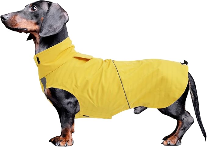 Dachshund Raincoat Weiner Dog Clothes Suitable for Dachshunds Corgi, Weiner, Dog Waterproof Coat with Reflective Stripe underbelly Protection - Yellow - M