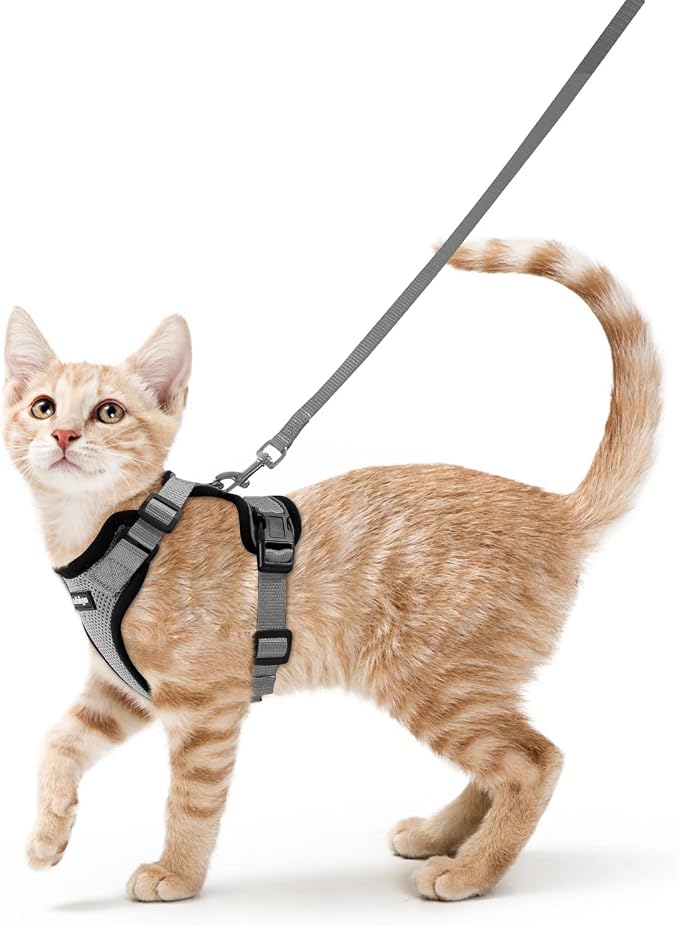 rabbitgoo Cat Harness and Leash Set, Escape Proof Vest, Grey | Soft Breathable Mesh, Easy Adjustable Fit, Snap Buckles, Sturdy Clip, Reflective Strips, for Small & Average Cats Walks, Xs