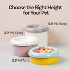 Donut Bowl Elevated Ceramic Cat Bowl with Stand, Raised Whisker-Friendly Bowl for Cats & Small Dogs, Patented Donut Design, Made in Korea (2.8" H -Blue)