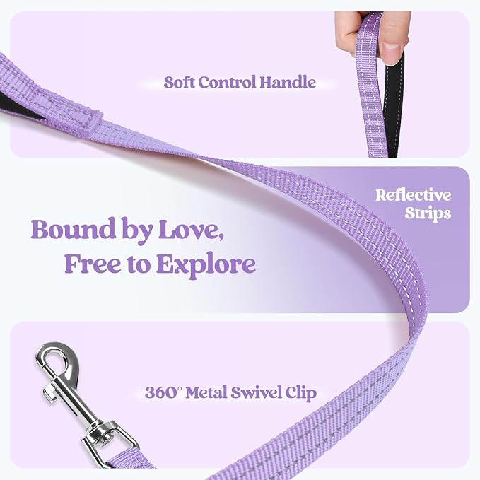 rabbitgoo Dog Harness Small Sized and Leash Set, Step-in Puppy Pet Vest | Light, Soft, Breathable Air Mesh, Easy on and Remove with Hook & Loop, Secure Reflective for Walking, Light Purple S