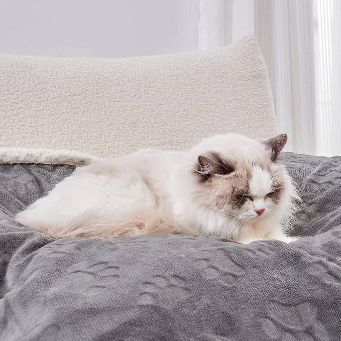 1 Pack 2 Dog Blankets for Small Dogs - 2 pcs Waterproof Dog Blanket Washable - Soft Sherpa Fleece Puppy Blanket for Kitten Doggy, Warm Cat Blankets for Indoor Cats, 25"X30", Grey