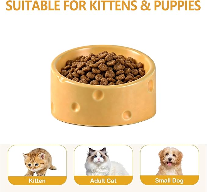 Cat Food Bowl with Food Mat, Ceramic Raised and Tilted Water Bowl, Anti Vomiting and Protection, Cat or Small Dog Feeding Station, Dishwasher and Microwave Safe