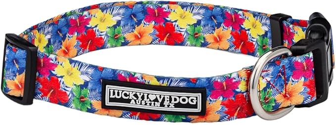 Lucky Love Dog - Adjustable Dog Collar with Easy Click Buckle for Large Ones, Durable, & Comfortable for Male & Female Dogs, Pet Collar for Puppies & Adult Dogs - Hana, Large