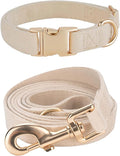 Soft Corduroy Dog Collar and Leash Set Adjustable Durable Wedding Dog Collars with Metal Buckle and Lead for Small Dogs,Beige