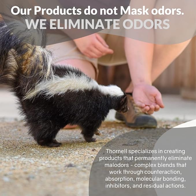 Odorcide Skunk Off Pet Shampoo – Ready to use Skunk Odor Remover for Dogs, Cats, Carpet, Car, Clothes & More – Skunk Shampoo Non-Enzymatic Formula (1 Gallon)