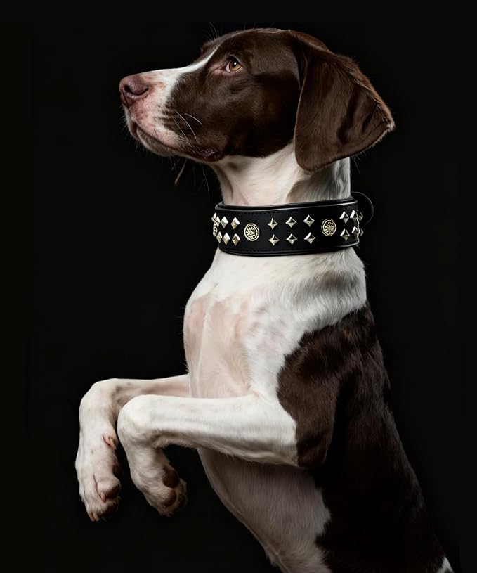 Genuine Leather Dog Collar 2.2 in Wide for Large Dogs Heavy Duty, BK-SL-M | Handcrafted,Stainless Steel Buckle and Alloy Studded,Soft Padded,Fashionable Daily Wear for Large Giant Breed,19.5-23.5 in