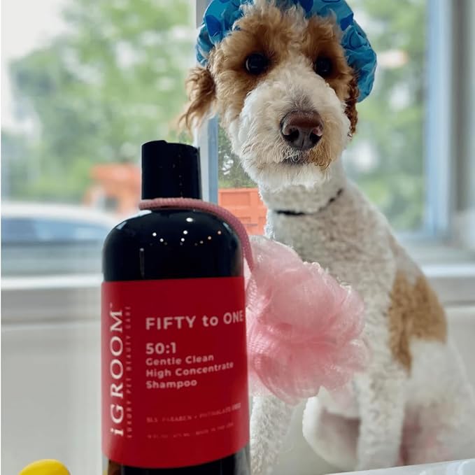iGroom 50 to 1 Dog Shampoo - Delightfully Fragranced & Highly Concentrated – Best Dog Shampoo - Groom Like Professional - Environmentally Sustainable – Sooth & Nourish Coat - Made in USA, Gallon