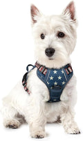 rabbitgoo Dog Harness, No Pull for Small Dogs with 2 Leash Clips, Pet Vest | No Choke with Handle, Adjustable Soft Padded, Reflective, Easy Control for Walking, Blue Star, X-Small