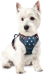 rabbitgoo Dog Harness, No Pull for Small Dogs with 2 Leash Clips, Pet Vest | No Choke with Handle, Adjustable Soft Padded, Reflective, Easy Control for Walking, Blue Star, X-Small