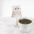 Elevated Cat Bowls 2-Pack, Ceramic Raised Cat Food & Water Dishes - Extra Wide & Shallow Whisker-Friendly Design, Anti-Vomit & Easy Digestion, Lead/Cadmium-Free, Microwave & Dishwasher Safe (White)