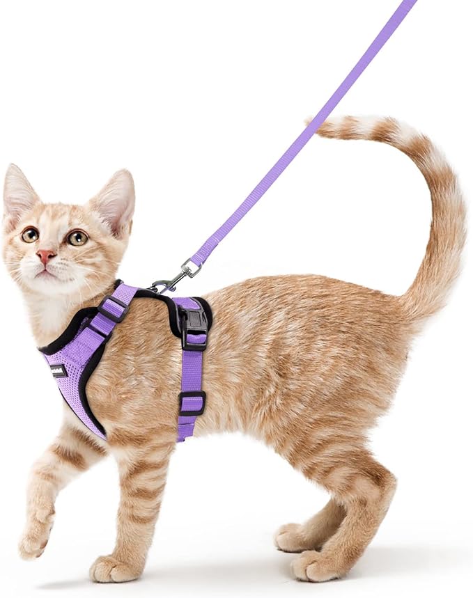 rabbitgoo Cat Harness and Leash Set, Escape Proof Vest, Light Purple | Soft Breathable Mesh, Easy Adjustable Fit, Snap Buckles, Sturdy Clip, Reflective Strips, for Small & Average Cats Walks, Xs