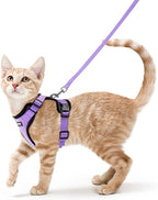 rabbitgoo Cat Harness and Leash Set, Escape Proof Vest, Light Purple | Soft Breathable Mesh, Easy Adjustable Fit, Snap Buckles, Sturdy Clip, Reflective Strips, for Small & Average Cats Walks, Xs