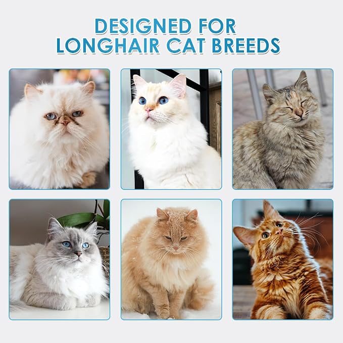 Mooncat Long Hair Cat Shampoo & Grooming Brush Set — Waterless, No Rinse | No bathtub needed, Mousse loosens dirt, Brush removes fur & dander, Detangles mats, Fresh scent, Kitten safe 8+ weeks