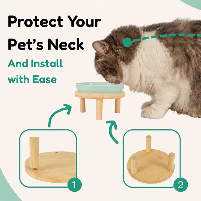 Slow Feeder Cat Bowls with Bamboo Stand, Ceramic Elevated Pet Food Plates for Cats and Small Dogs, Raised Non-Slip Feeder (Green/6.3")