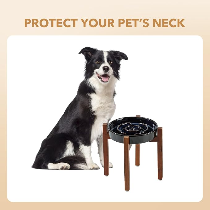 Havniva Raised Slow Feeder Dog Bowls, Elevated Dog Bowls Slow Feeder | 1.6 Cups Ceramic Dog Bowl Elevated with Acacia Wood Stand, Raised Dog Food Bowl, Puzzle Slow Feeder for Medium Dogs, Non-Slip