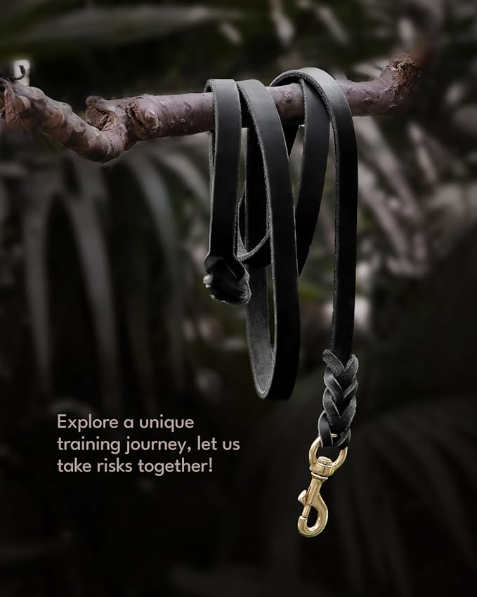 FAIRWIN Leather Dog Leash 6 Foot - Braided Military Grade Heavy Duty Dog Leash for Large Medium Small Dogs Training and Walking (Black, M:5/8" x 6ft)
