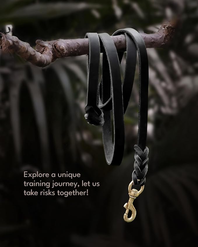 FAIRWIN Leather Dog Leash 6 Foot - Braided Military Grade Heavy Duty Dog Leash for Large Medium Small Dogs Training and Walking (Black, S:1/2" x 6ft)
