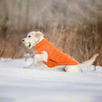 Lelepet Reversible Dog Coat Windproof Dog Puffer Jacket Lightweight Vest | Soft Puffer Vest Warm Winter Coats for Medium Dogs Adjustbale Hook & Loop Pet Apparel with Leash Hole, French Bulldog, Orange