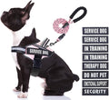 Service Dog Vest Harness and Leash Set, Animire in Training Dog Harness with 10 Dog Patches, Reflective Dog Leash with Soft Padded Handle for Small, Medium, Large, and Extra-Large Dogs(Pink,M)