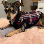 Gooby Fashion Vest Check Dog Jacket - White Check, Large - Warm Zip Up Bomber Vest with Dual D Ring Leash - Winter Water Resistant Small Dog Sweater