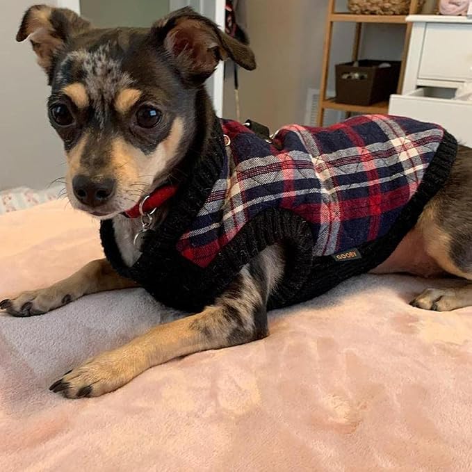 Gooby Fashion Vest Check Dog Jacket - White Check, X-Small - Warm Zip Up Bomber Vest Dual D Ring Leash - Winter Water Resistant Small Dog Sweater