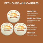 Pet House Mini Candles for Pet Odor Made with Natural Soy Wax, Plant Based, Dog and Cat Friendly Scented Candles, Pumpkin Spice Pack of 3