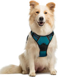 rabbitgoo Dog Harness, No Pull Medium Sized with 2 Leash Clips, Pet Vest | No Choke with Handle, Adjustable Soft Padded, Reflective, Easy Control for Walking, Blue Coral, Medium