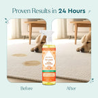 Puracy Pet Stain and Odor Remover - Enzyme Cleaner for Dog & Cat Urine and Poop on Carpet, Professional Pet Carpet Stain Remover, Cucumber & Mint, 25oz