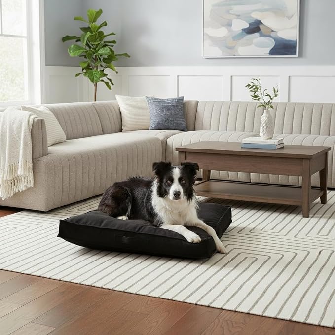 Indoor Dog Bed with Removable Washable Cover, Soft Basketweave Fabric, Reversible Cushion, Carry Handle, Baffle Construction to Help Prevent Fill Shifting, Black - Medium (32"x32")