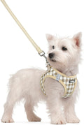 rabbitgoo Dog Harness Small Sized and Leash Set, Step-in Puppy Pet Vest | Light, Soft, Breathable Air Mesh, Easy on and Remove with Hook & Loop, Secure Reflective for Walking, Beige Check S