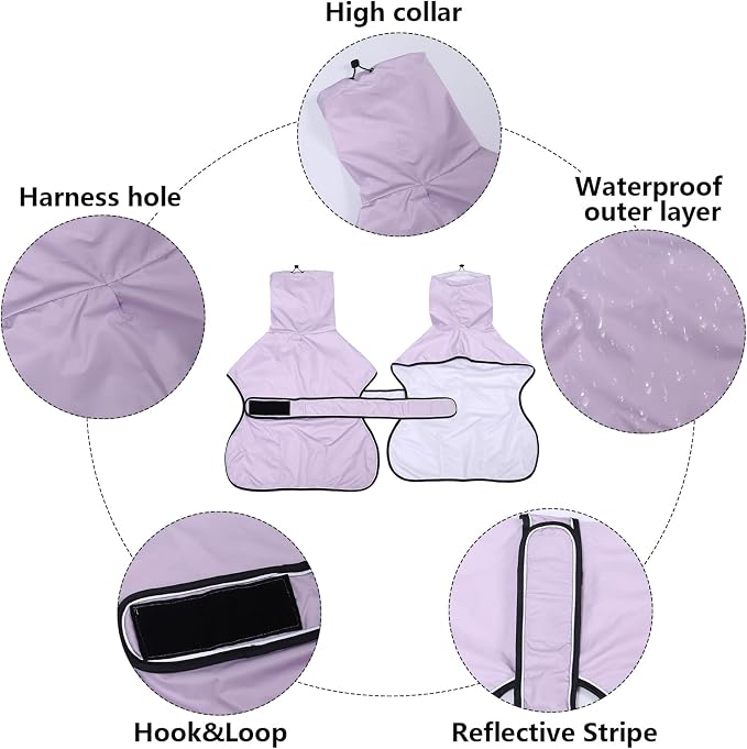 Greyhound Whippet Raincoat Waterproof with Reflective Stripe high Neck fit for Italian Greyhounds Whippets Long Back Breeds - Purple - XXL