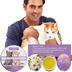 Nature's Miracle Urine Destroyer for Dogs, Light Fresh Scent, Tough on Strong Dog Urine and The Yellow Sticky Residue