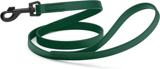 Dogline Biothane Waterproof Dog Leash Strong Coated Nylon Webbing with Black Hardware Odor-Proof Easy to Clean High Performance for Small or Large Dogs Made in USA 4 or 6 ft Lead, Hunter Green