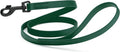 Dogline Biothane Waterproof Dog Leash Strong Coated Nylon Webbing with Black Hardware Odor-Proof Easy to Clean High Performance for Small or Large Dogs Made in USA 4 or 6 ft Lead, Hunter Green