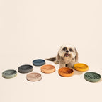 Slow Feeder Dog Bowls - Small Size Silicone Slow Eating Dog Bowl for Puppies & Dogs with Suction Cup -Dishwasher-Safe,Lick Mat Design,Reduces Gulping, for All Breeds, 6”x1.25”- Charcoal