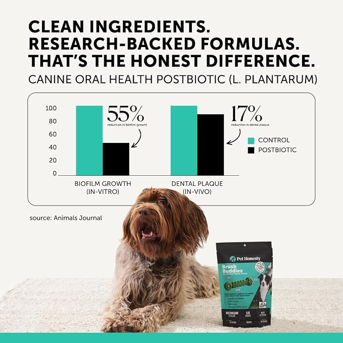 Brush Buddies Long Lasting Dog Dental Chews - All Natural Dental Sticks for Teeth Cleaning Plaque Off + Tartar Remover for Dogs - Dog Dental Treats + Breath Freshener - Large Sized Dogs (8 Count)
