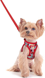 rabbitgoo Dog Harness Small Sized and Leash Set, Step-in Puppy Pet Vest | Light, Soft, Breathable Air Mesh, Easy on and Remove with Hook & Loop, Secure Reflective for Walking, Apple Pups XXS