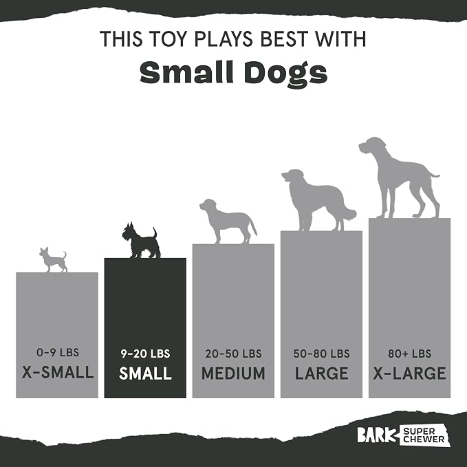 BarkBox Munchie The Bear Dog Toy - for Dogs up to 20 lbs - Small | for Treat Dispensing and Bouncing