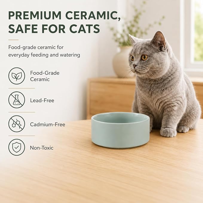 Havniva Cat Bowls Set of Two, 5.1” Ceramic Cat Food and Water Bowls | Cat Food Bowls Whisker Friendly, Non-Slip Base, Food-Grade Ceramic, Wide Opening, Dishwasher Safe, Cat Bowls for Indoor Cats