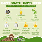 All Stages Dog Grooming Natural Dog Shampoo and Conditioner with Aloe Vera, pH balanced Shampoo for Dogs, Tear-Free, Moisturizing Dog Shampoo for Sensitive Skin - 26.4 Oz