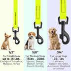 Dogline Biothane Waterproof Dog Leash Strong Coated Nylon Webbing with Black Hardware Odor-Proof Easy to Clean High Performance for Small or Large Dogs Made in USA 4 or 6 ft Lead, Safety Yellow