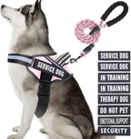 Service Dog Vest Harness and Leash Set, Animire in Training Dog Harness with 10 Dog Patches, Reflective Dog Leash with Soft Padded Handle for Small, Medium, Large, and Extra-Large Dogs
