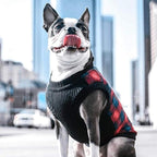Gooby Fashion Vest Check Dog Jacket - Green Check, Medium - Warm Zip Up Bomber Vest Dual D Ring Leash - Winter Water Resistant Small Dog Sweater